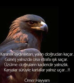Savas