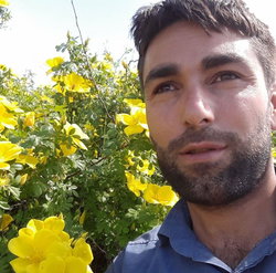 Adil