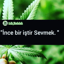 Aydın