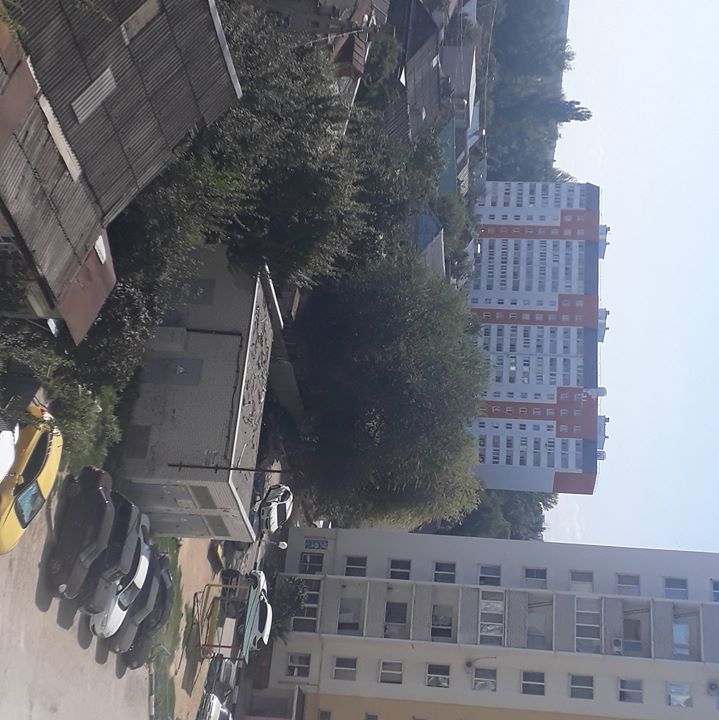Tahsin