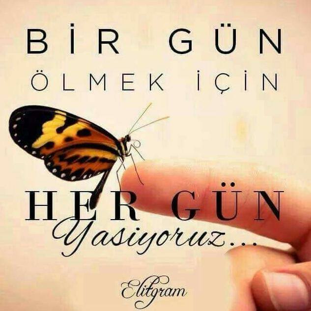 Polat
