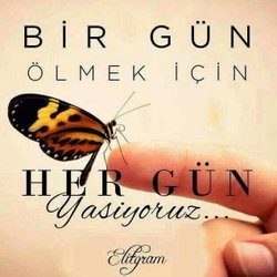 Polat