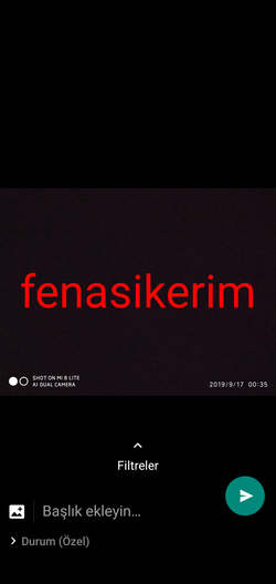 Mirekisenaf