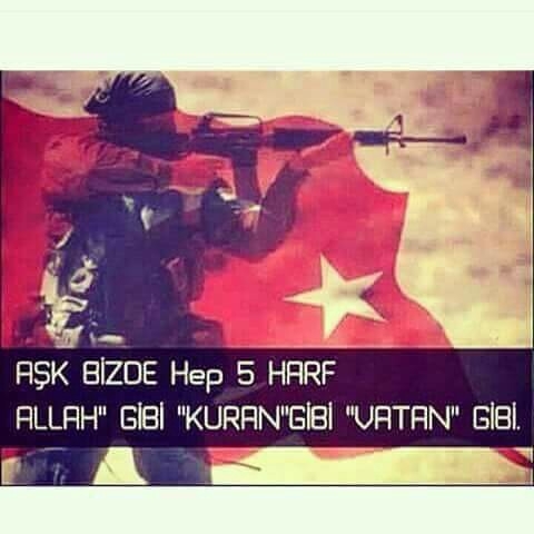 Seydi