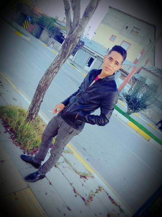 بشار