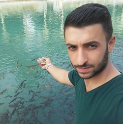 Vedat
