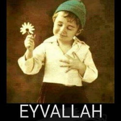Selim