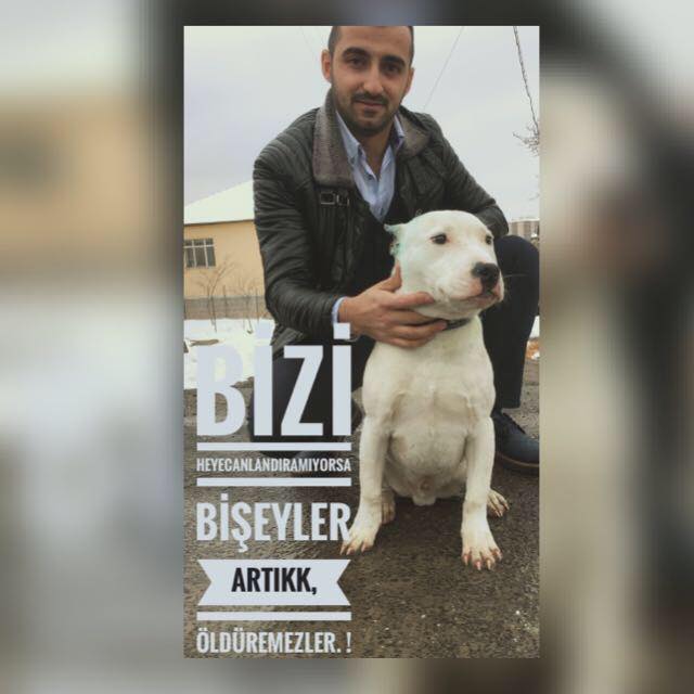 Tolga