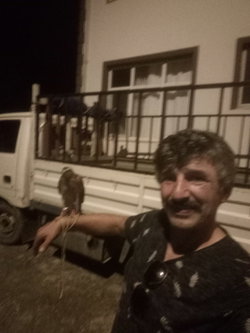 İlhan