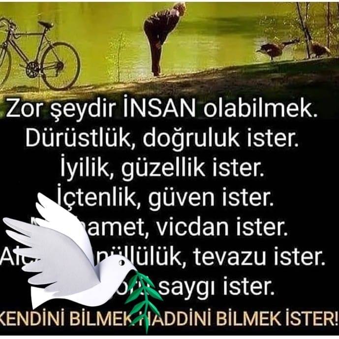 Sinem