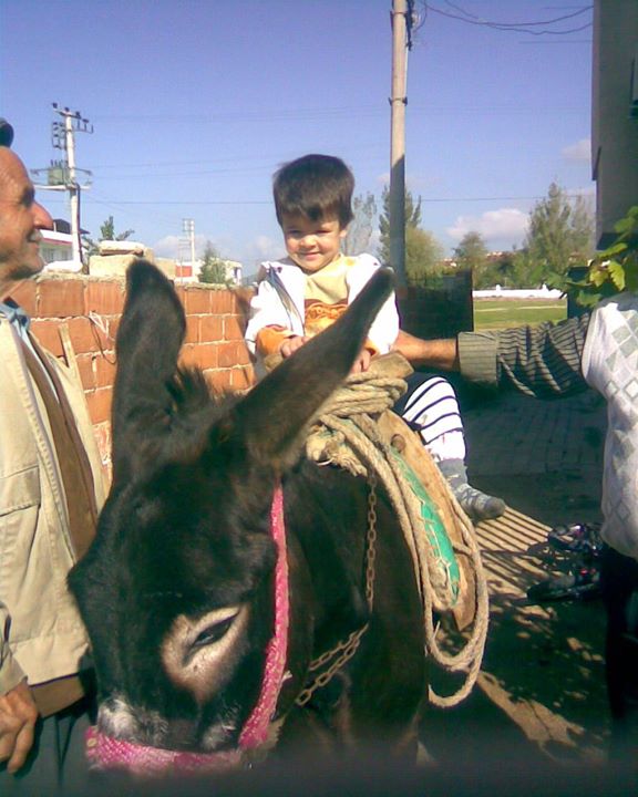 Süleyman
