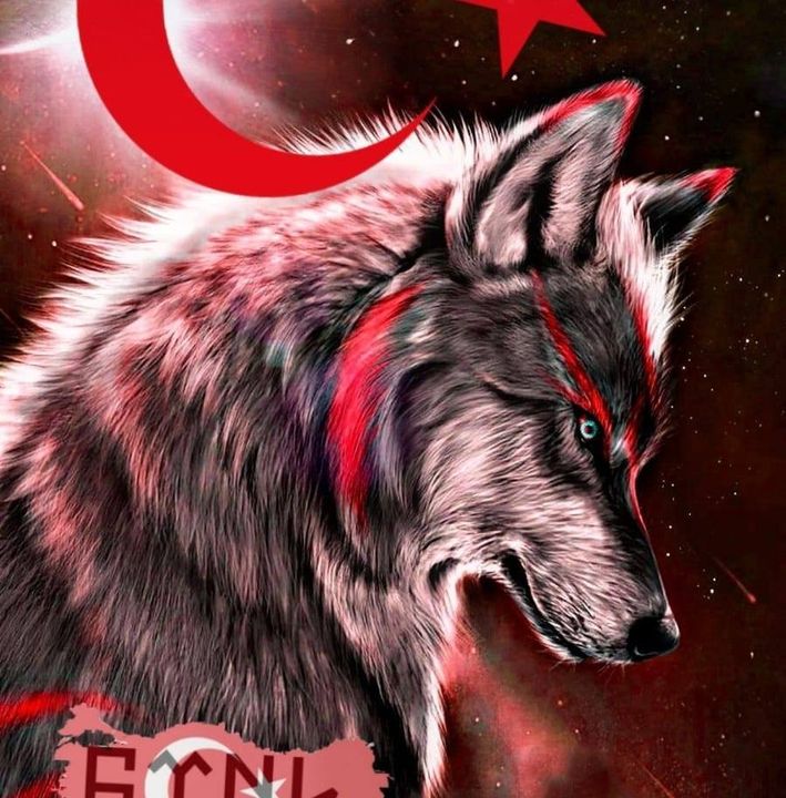 Halil
