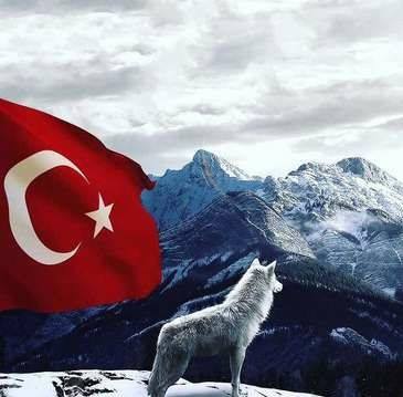 Fuat