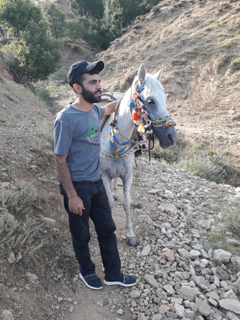 Devrim