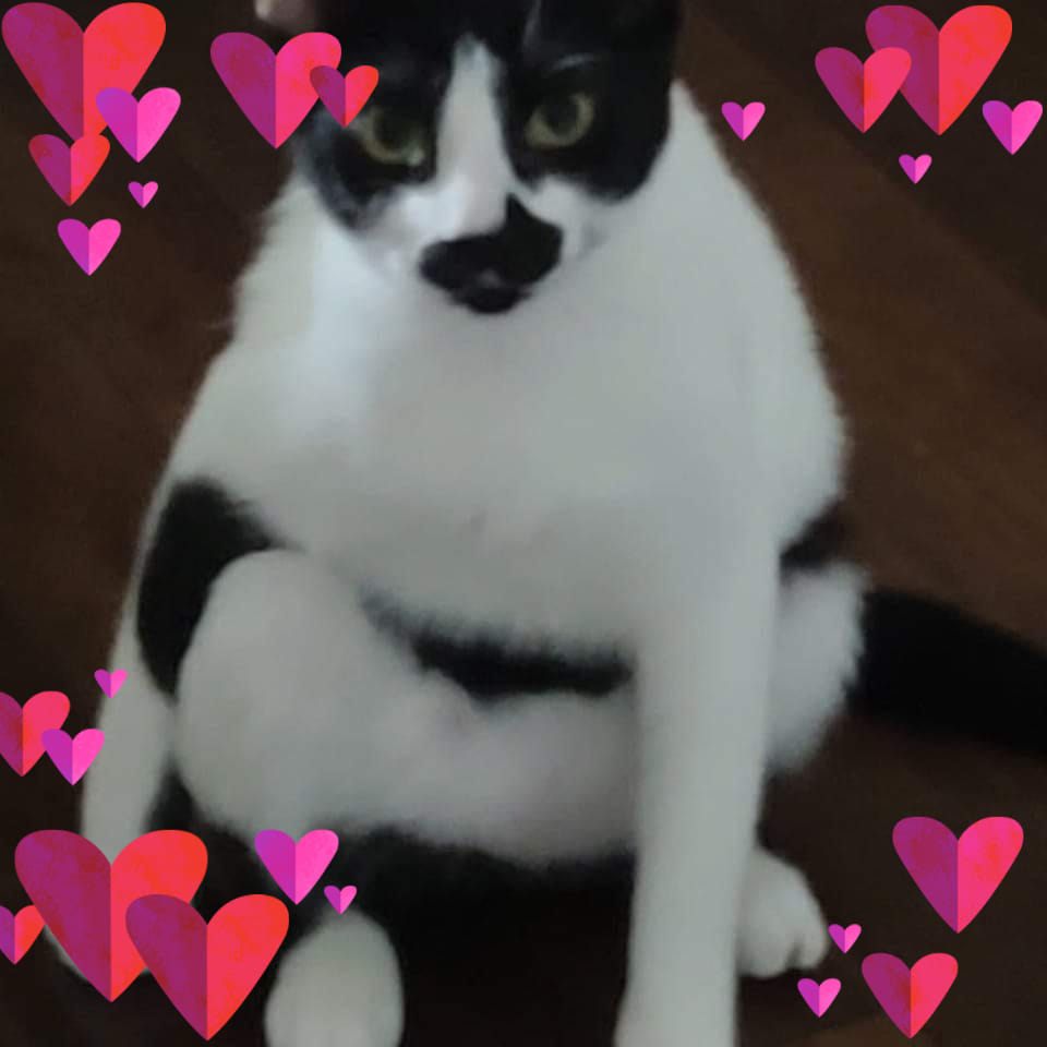 Luísa