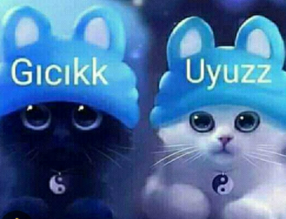 Inci