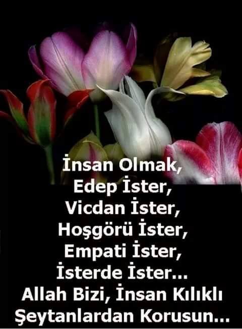 Tofan