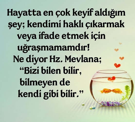 Orhan