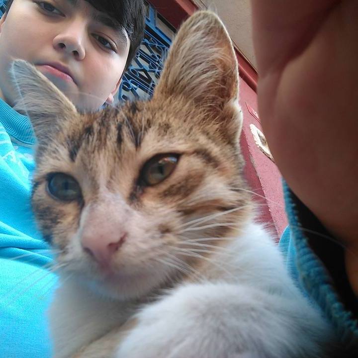 Mert