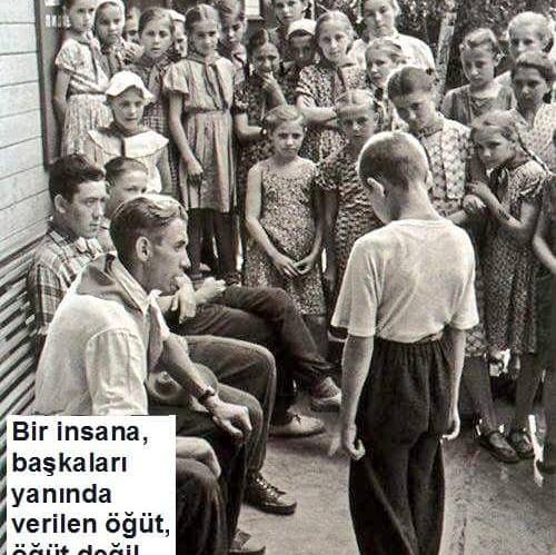 Yargiç