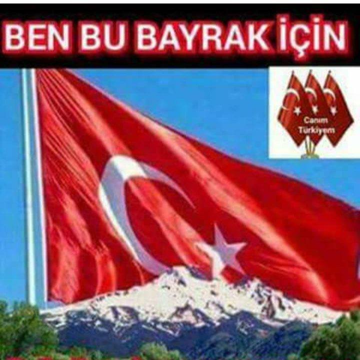 Necat
