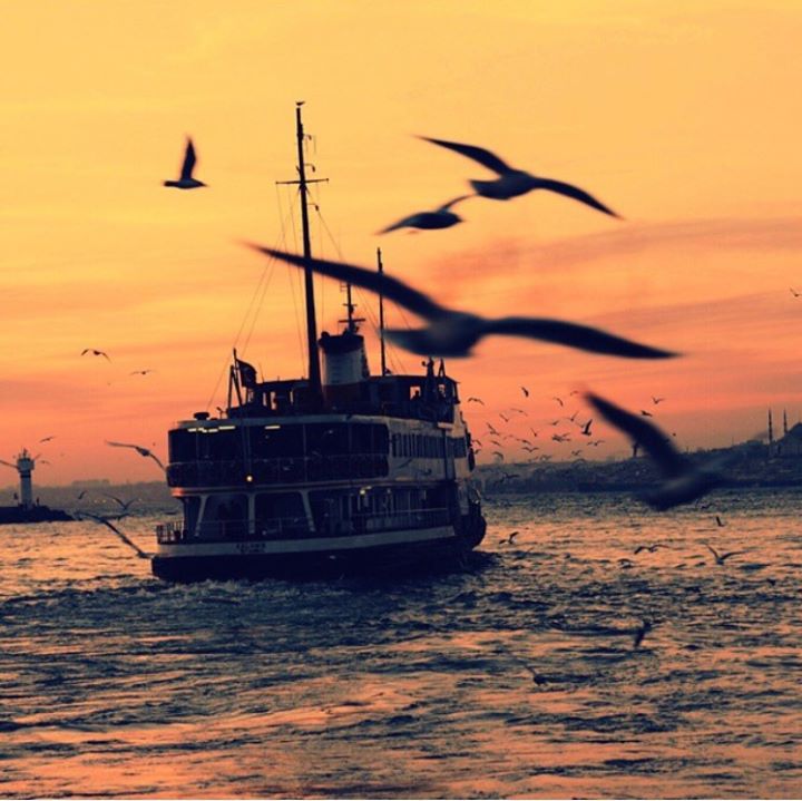 Dilek