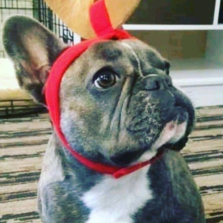 Princess