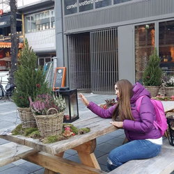 Burcu