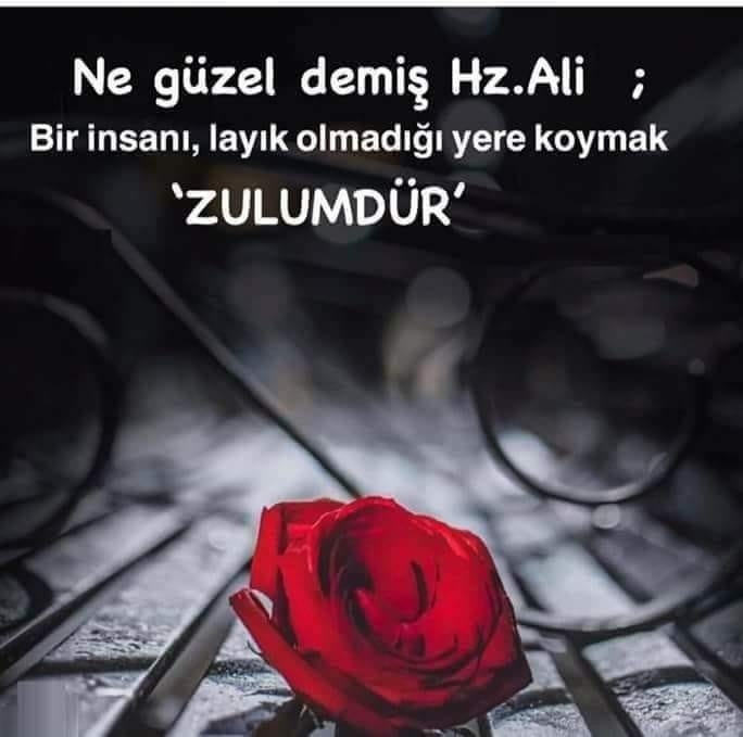 Aysel