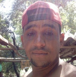 Willian