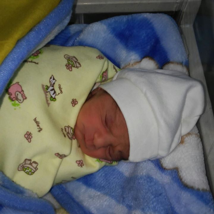 Veysel