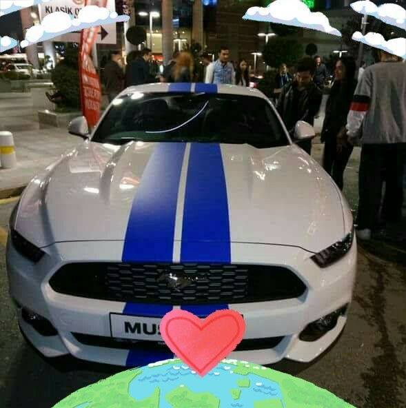 Mustafa
