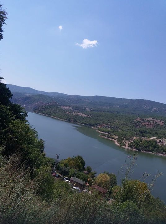 Murat