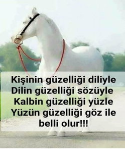 Nuray