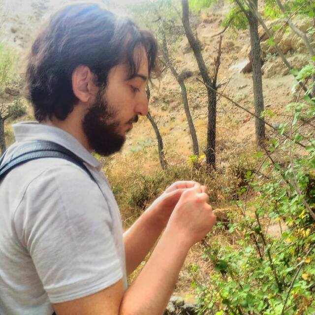 Erol