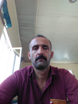 Zeynal