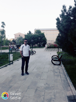 Salih