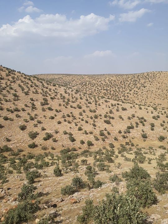 Ümran