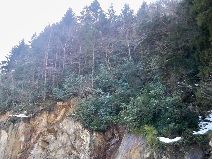 Hemşin