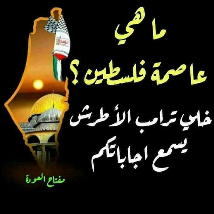 عقيل