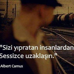 Aysel