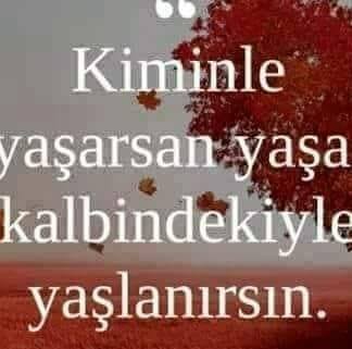 Elif