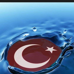 Sibel