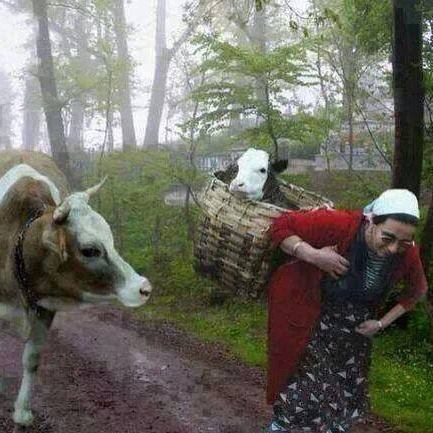 Samsun