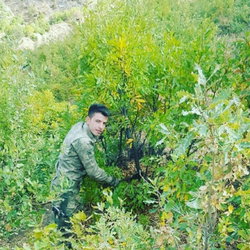 Muhammet