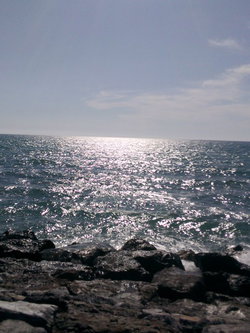 Seçkin