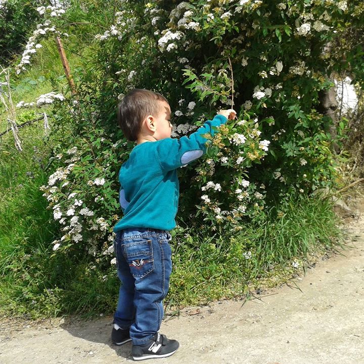 Yavuz