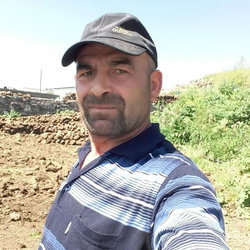 Solmaz