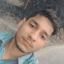 Bhola
