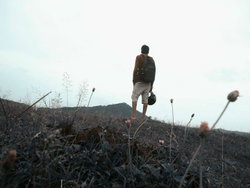 Vinay